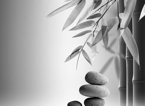 shutterstock_58018579-scaled